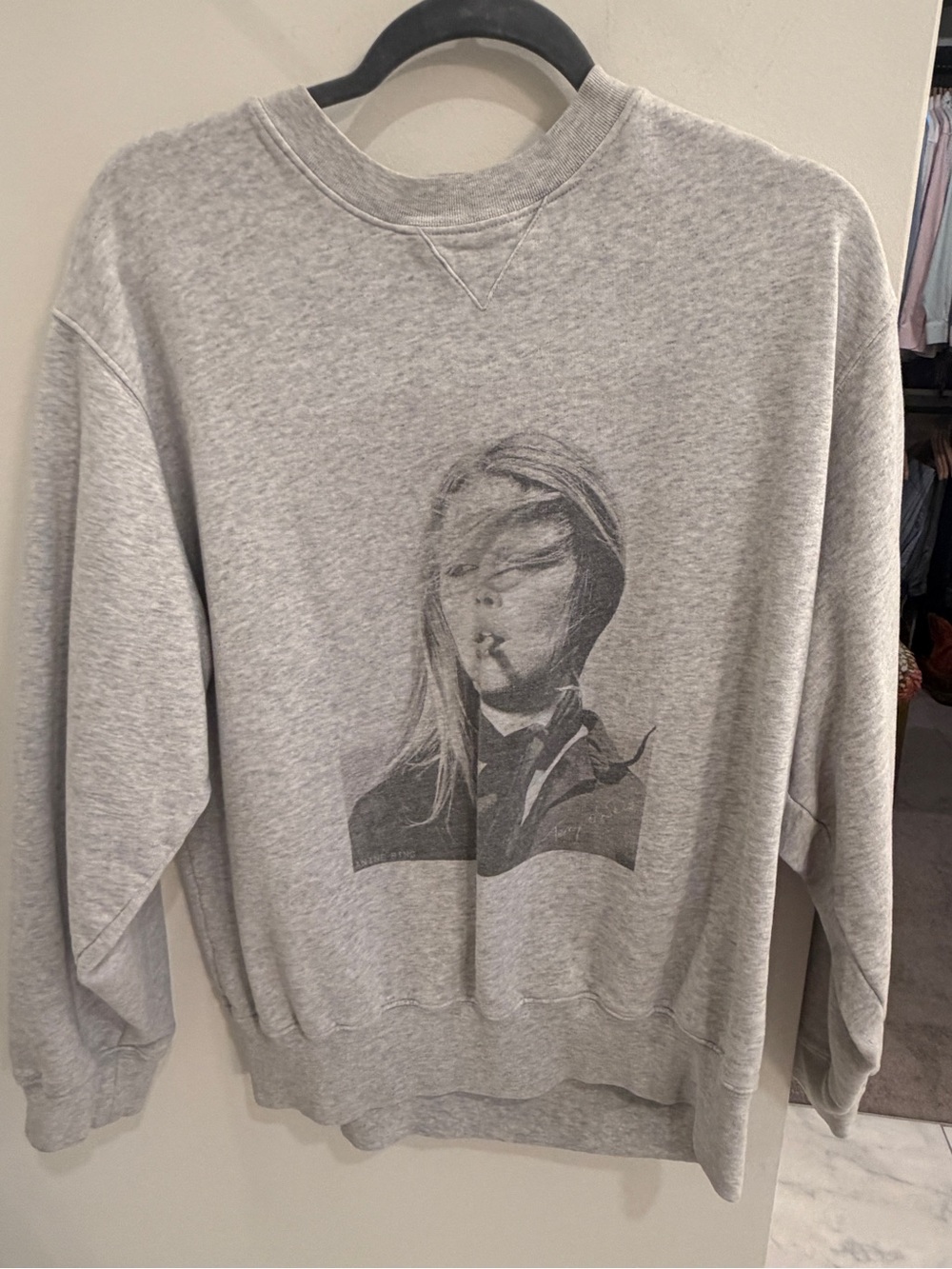Anine bing sweatshirt size small